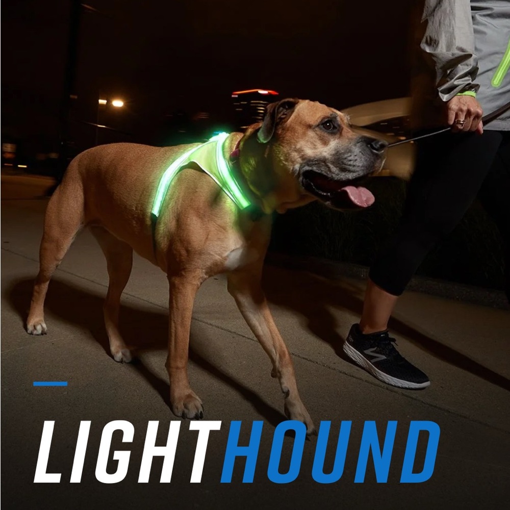 Noxgear Lighthound Reflective Dog Harness, Rechargeable LED, Medium (20-40 lbs)